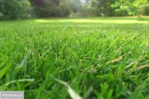 Działka budowlana Kluczbork