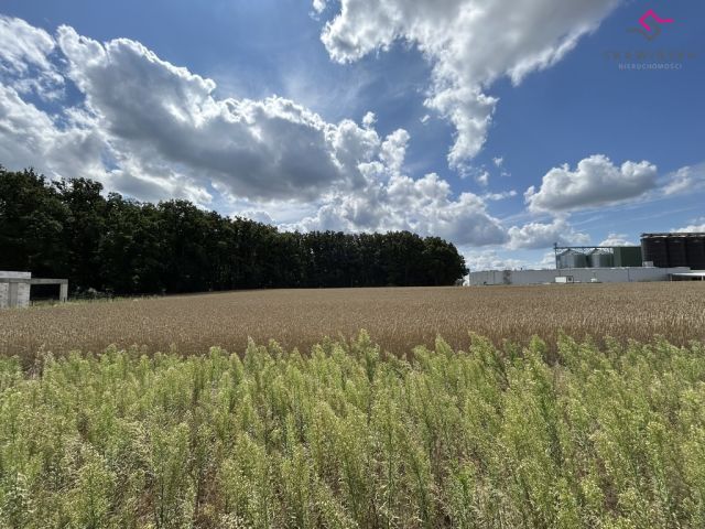 Działka budowlana Lewkowiec. Zdjęcie 15