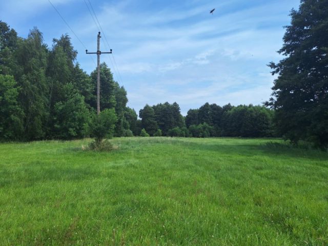 Działka rolna Kępa. Zdjęcie 2