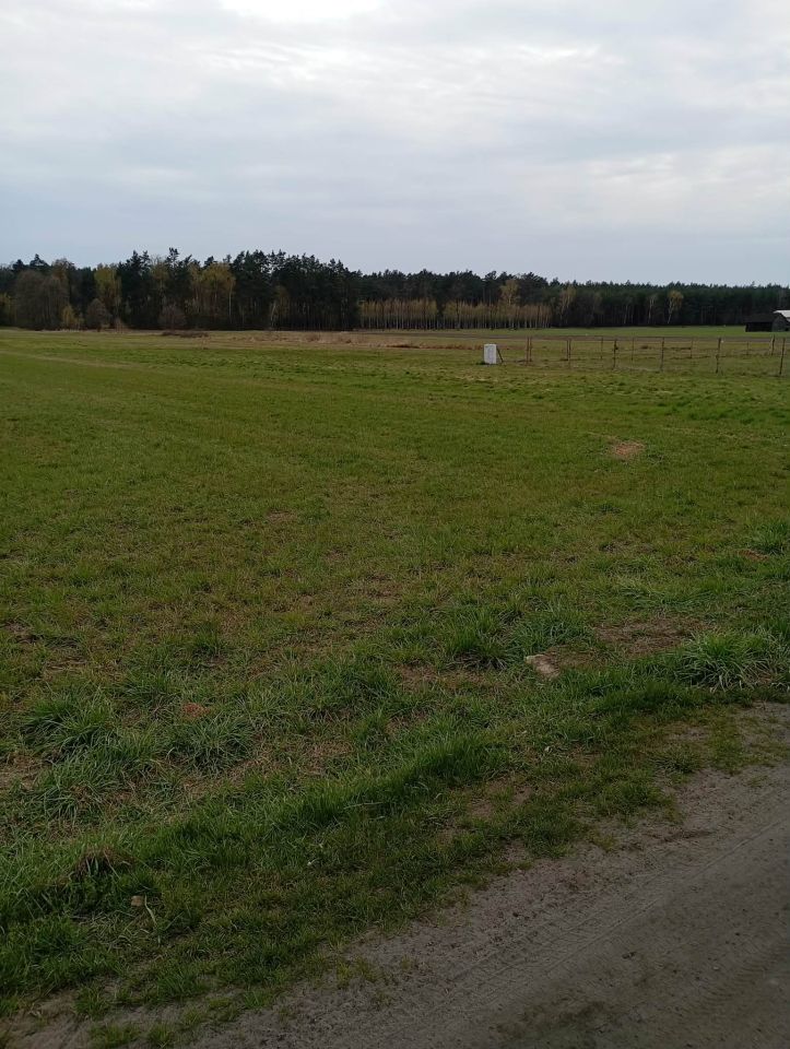 Działka budowlana Siedlików. Zdjęcie 7