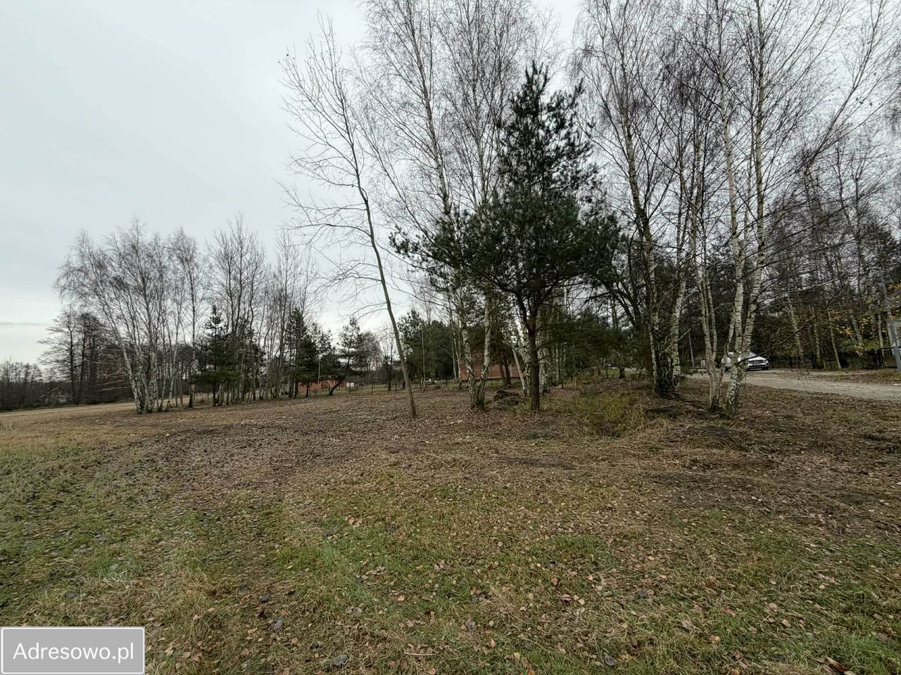 Działka budowlana Chwałowice, ul. Kasztanowa. Zdjęcie 4