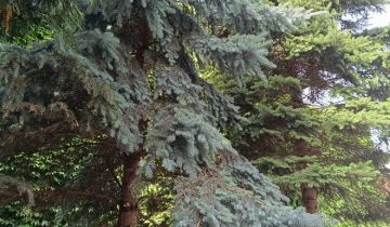 Mieszkanie 2-pokojowe Bydgoszcz Śródmieście, ul. Henryka Sienkiewicza