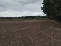 Działka rolna Komorzewo. Zdjęcie 3