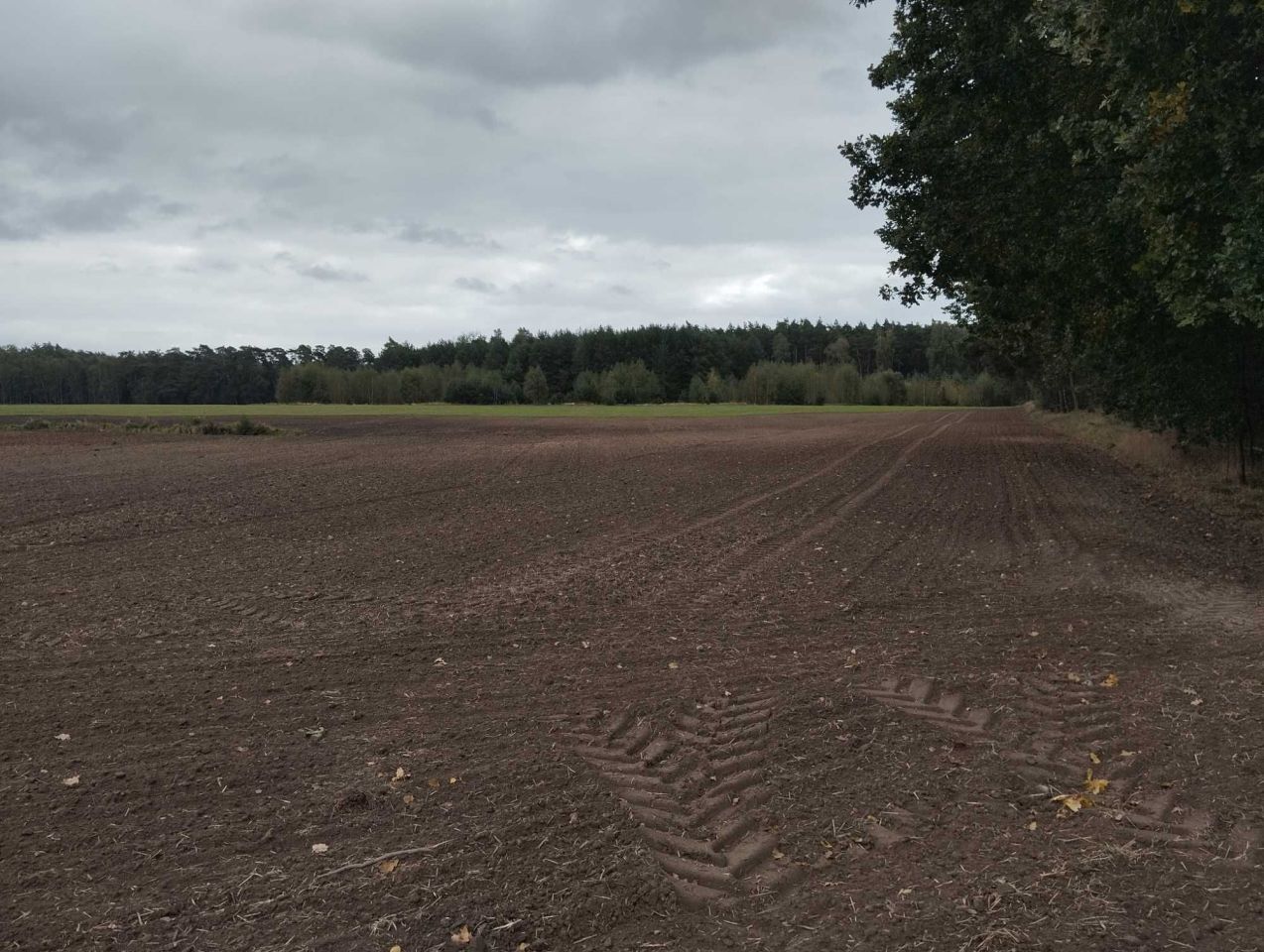 Działka rolna Komorzewo. Zdjęcie 4