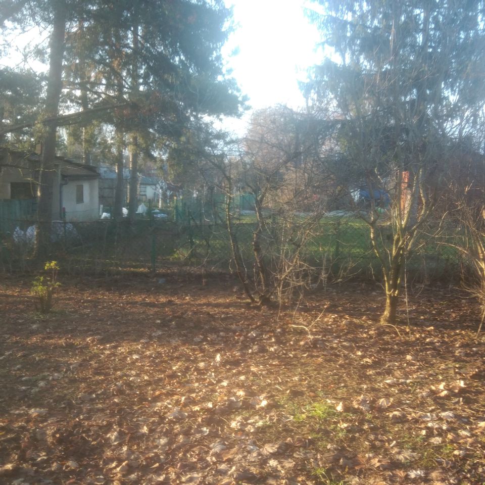 Działka rod Wrocław Ołbin, ul. Bolesława Prusa. Zdjęcie 3