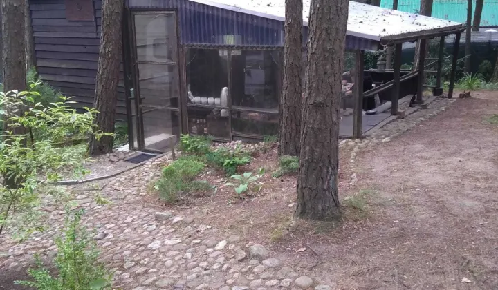 dom letniskowy Borowo