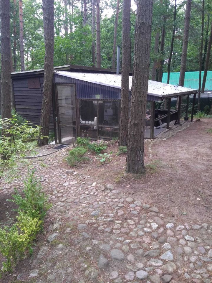 dom letniskowy Borowo. Zdjęcie 1