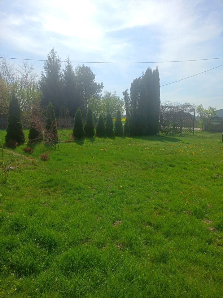 Działka siedliskowa Nieborzyn. Zdjęcie 12