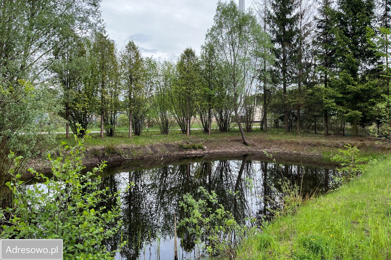 dom wolnostojący, 6 pokoi Jesionka, ul. Przejazdowa. Zdjęcie 13