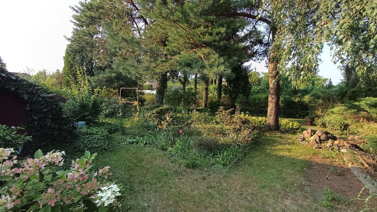 Działka rod Kajetany, ul. Brzozowa. Zdjęcie 8