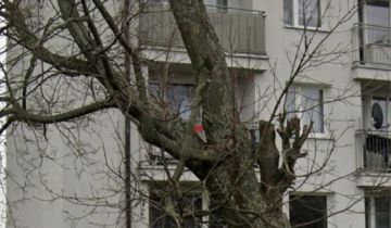 Mieszkanie 2-pokojowe Wronów