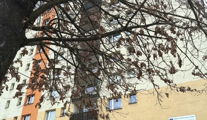 Mieszkanie 2-pokojowe Sosnowiec Zagórze