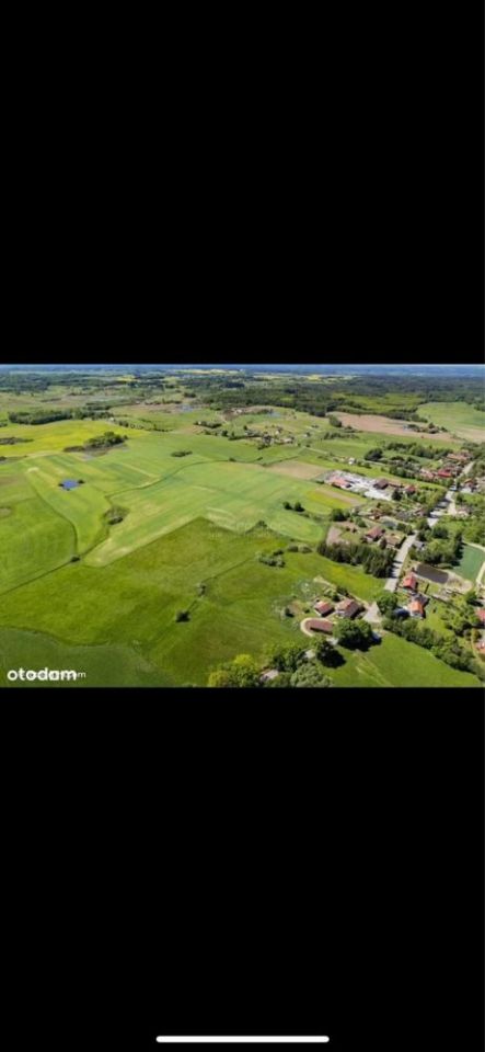 Działka rolno-budowlana Podleśna. Zdjęcie 2