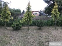 Działka rod Tczew Czyżykowo, ul. Bałdowska. Zdjęcie 2