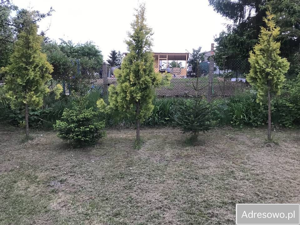 Działka rod Tczew Czyżykowo, ul. Bałdowska. Zdjęcie 12