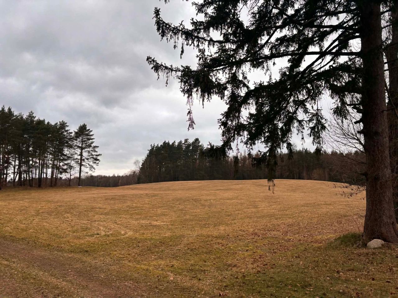 Działka rolna Żelisławie. Zdjęcie 1