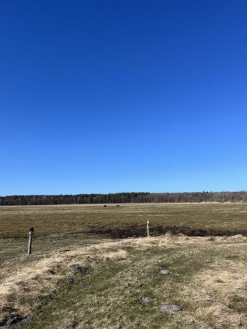 Działka rolna Karwieńskie Błoto Drugie. Zdjęcie 1