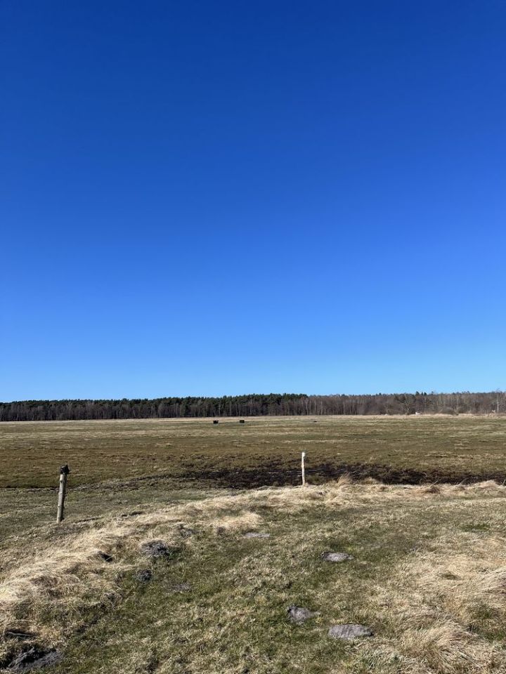 Działka rolna Karwieńskie Błoto Drugie. Zdjęcie 1