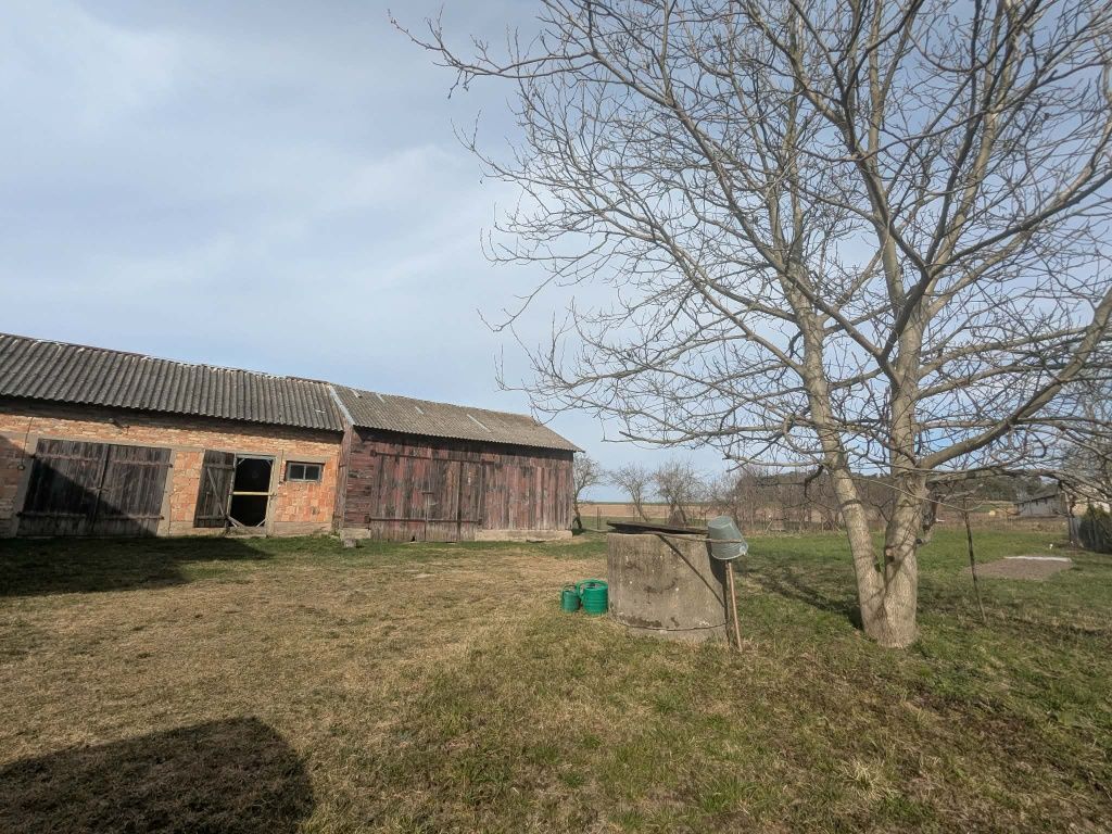 siedlisko Płonka-Kozły. Zdjęcie 3