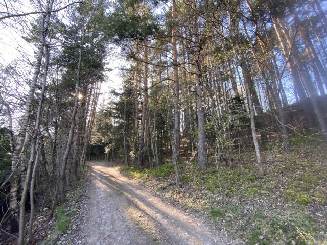 Działka budowlana Harbutowice, ul. Eustachego Sanguszki. Zdjęcie 7
