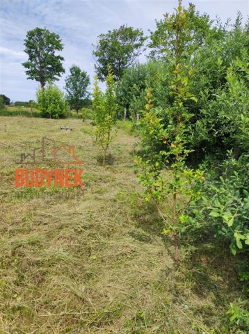 Działka budowlana Darłowo, ul. Klonowa. Zdjęcie 4