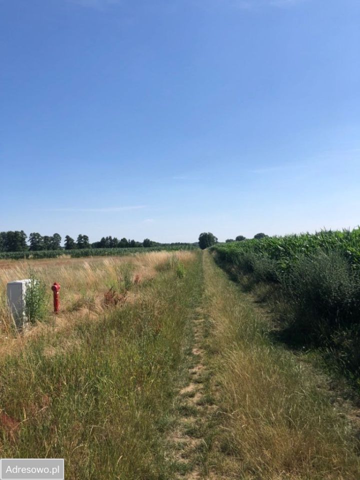 Działka budowlana Kałowice. Zdjęcie 3