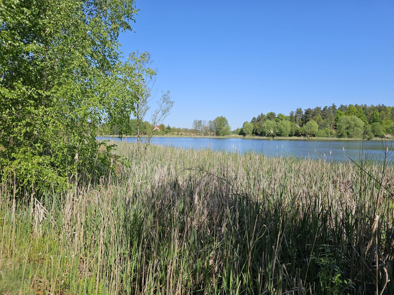 Działka inwestycyjna Macikowo. Zdjęcie 3