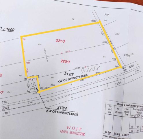 Działka inwestycyjna Turzyn. Zdjęcie 1