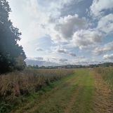 Działka budowlana Wierzbna, ul. Kwiatowa. Zdjęcie 2