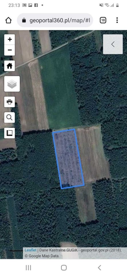 Działka leśna Dzierzbia. Zdjęcie 2