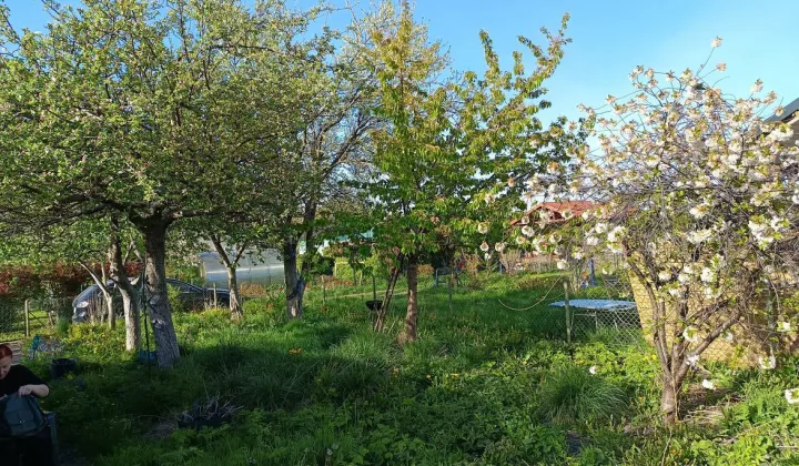 Działka rod Gdańsk