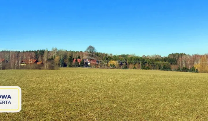 Działka rolna Marcinkowo