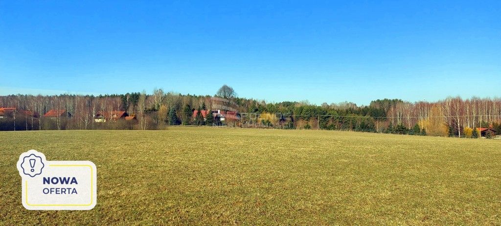 Działka rolna Marcinkowo