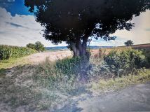 Działka budowlana Pruchnik Kozia Górka, ul. Grunwaldzka. Zdjęcie 1