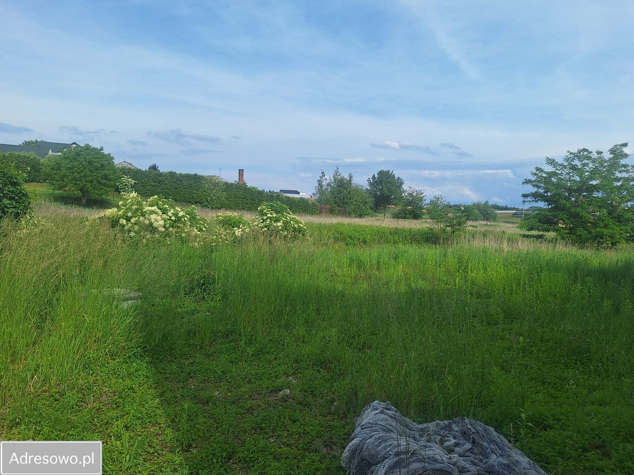 Hala/magazyn Wronin. Zdjęcie 2