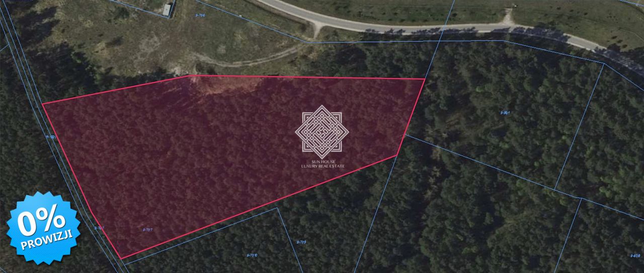 Działka leśna Kuczek. Zdjęcie 4