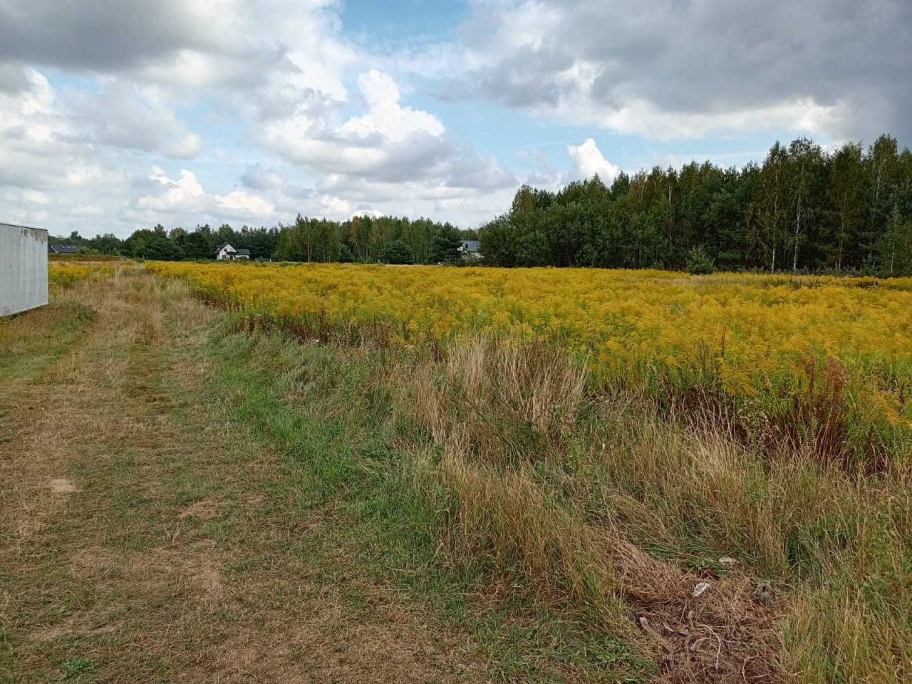 Działka budowlana Wola Mrokowska, ul. Ogrodowa. Zdjęcie 5