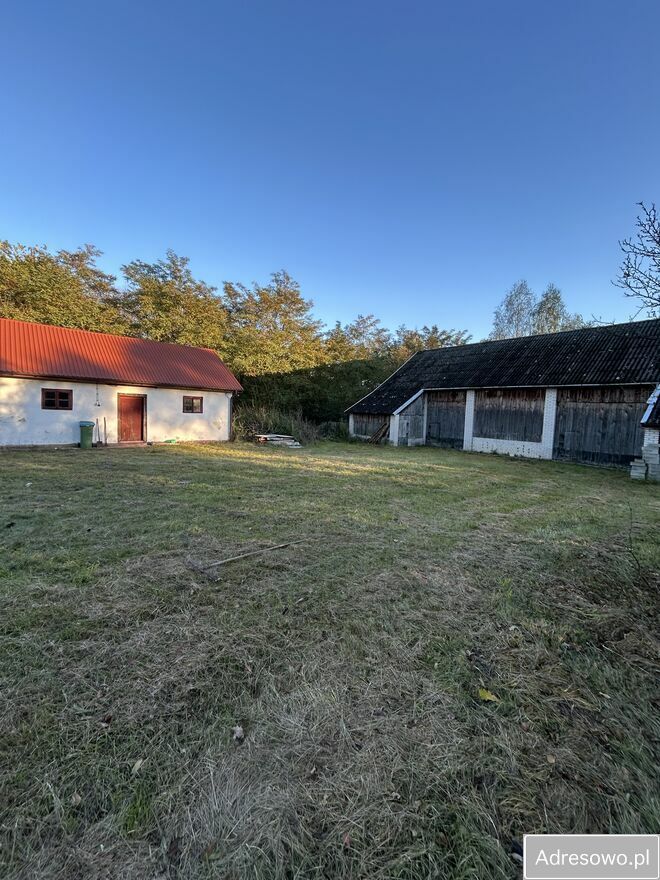 Działka budowlana Borki. Zdjęcie 2