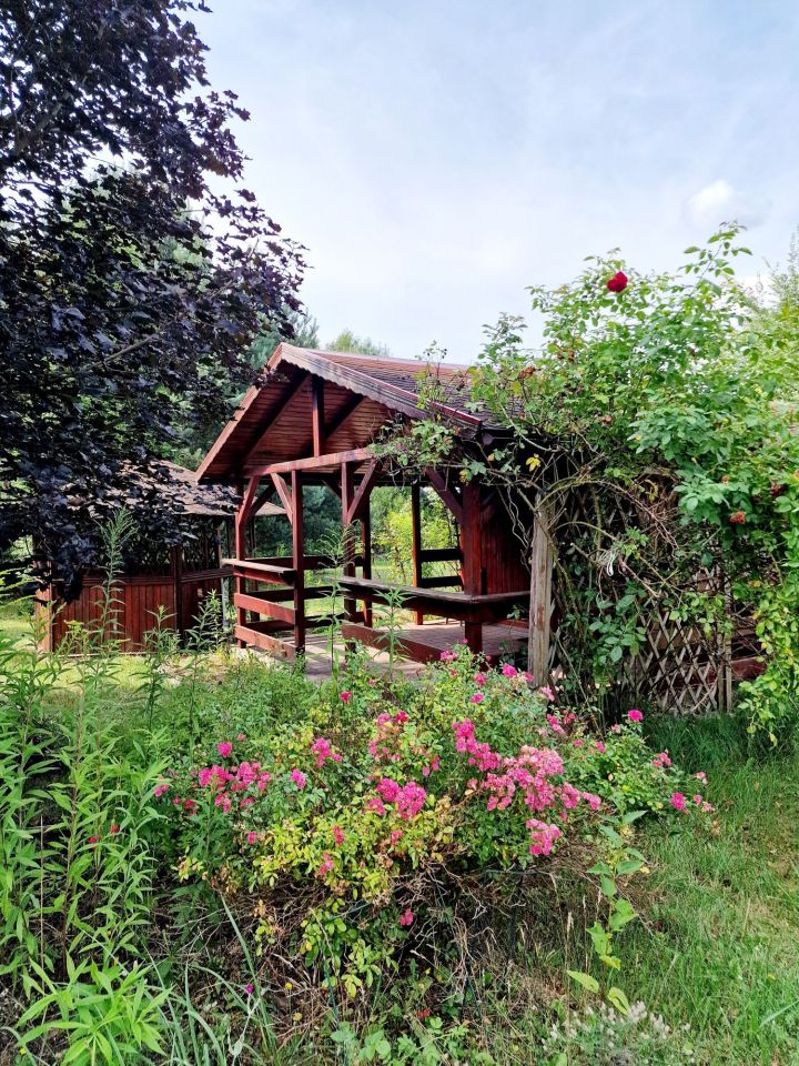 Działka budowlana Borowe. Zdjęcie 8