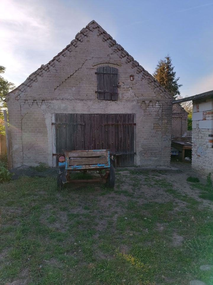 bliźniak Miłogoszcz. Zdjęcie 5