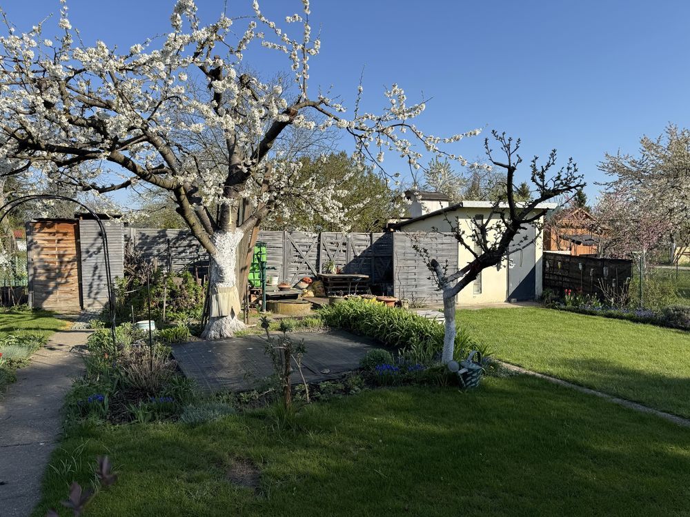 Działka rod Wrocław Stare Miasto. Zdjęcie 5