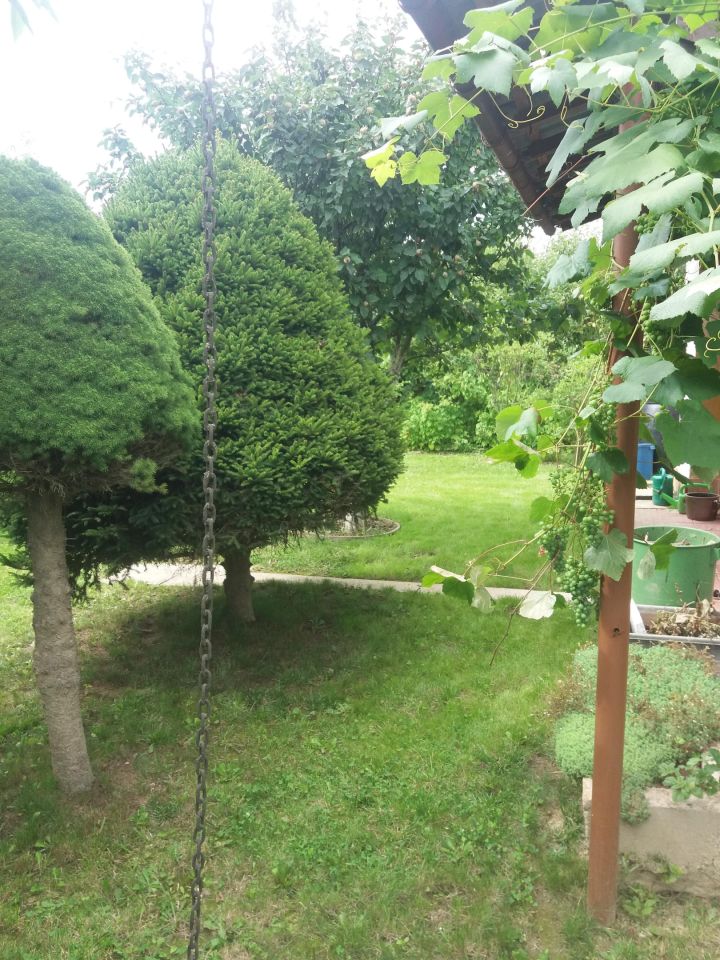 Działka rekreacyjna Nysa, ul. Adama Mickiewicza. Zdjęcie 13