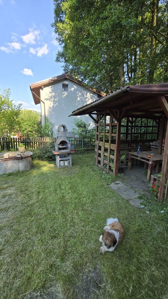 Działka rod Tychy. Zdjęcie 4