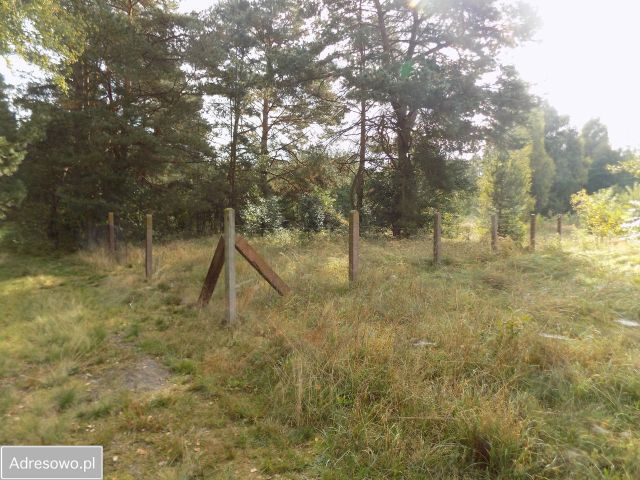 Działka siedliskowa Piękocin. Zdjęcie 1