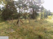 Działka siedliskowa Piękocin