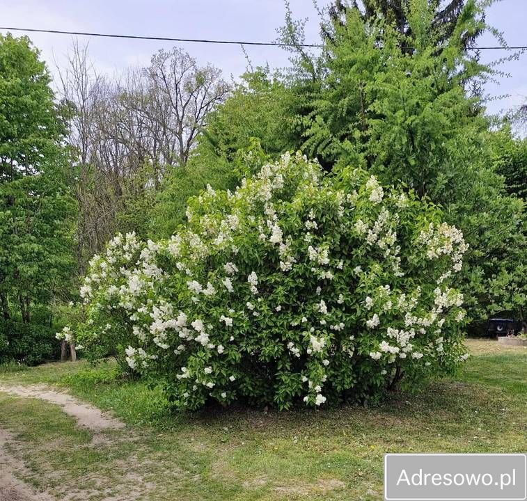 dom wolnostojący, 4 pokoje Bukówko. Zdjęcie 11