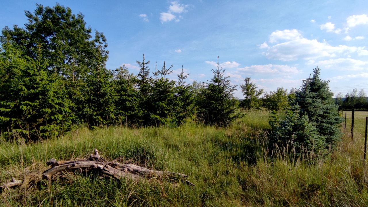 Działka budowlana Wrocław Lipa Piotrowska, ul. Pełczyńska. Zdjęcie 2