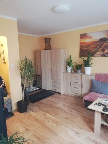 Mieszkanie 1-pokojowe Zgorzelec. Zdjęcie 1