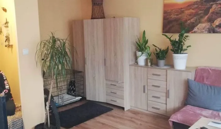 Mieszkanie 1-pokojowe Zgorzelec