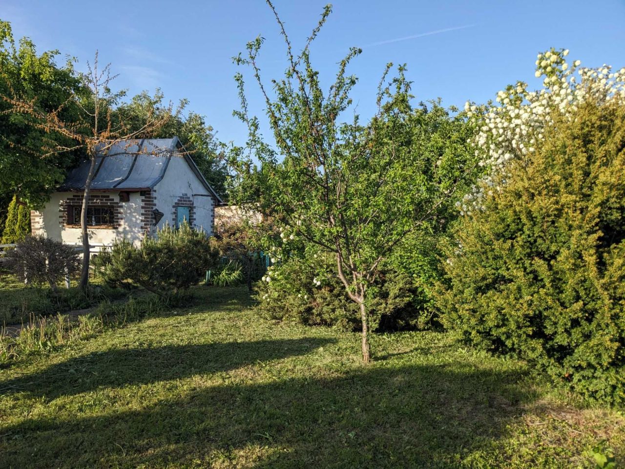 Działka rod Świdnica, ul. Pogodna. Zdjęcie 3